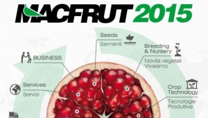 Turneul Macfrut la sediul UniCredit Tiriac Bank din Bucuresti item-thumbnail