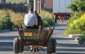REPORTAJ. Cum se împacă bankingul cu ”Viața la țară”. Pensionar din Dăbuleni: ”Vreau să primesc și eu pensia la butoane!” item-thumbnail