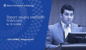Liviu Voinea, BNR: Riscul de nerambursare a creditelor este în creştere item-thumbnail