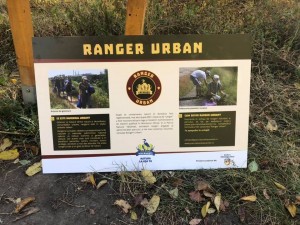 Ești pasionat de natură și vrei să fii voluntar? Banca Transilvania te invită să “Fii Ranger Urban!” pentru Parcul Natural Vacărești item-thumbnail