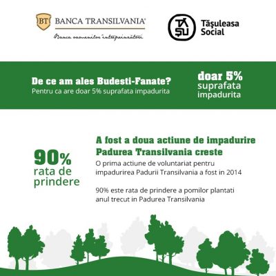 Banca Transilvania creste! 1500 de voluntari au plantat Padurea Transilvania