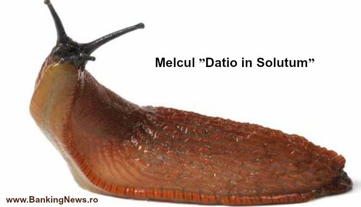 melc-fara-casa