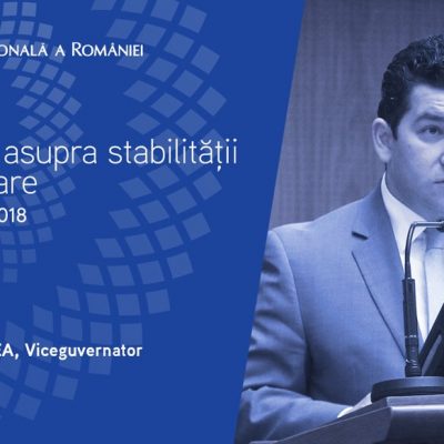 Liviu Voinea, BNR: Riscul de nerambursare a creditelor este în creştere
