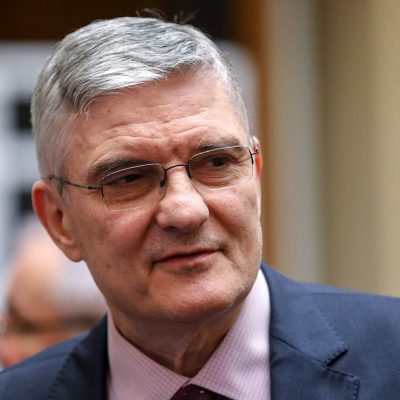 Maxim istoric pentru euro. Daniel Dăianu, președintele Consiliul Fiscal: Leul românesc nu este bolnav